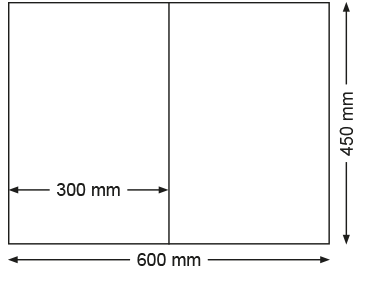 Broadsheet Format